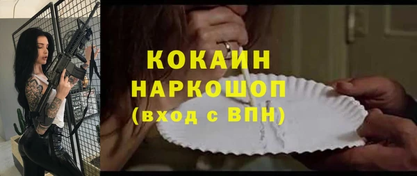 шишки Аркадак
