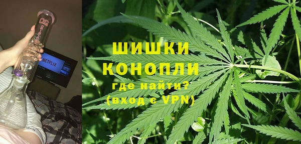 шишки Аркадак