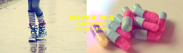 шишки Аркадак