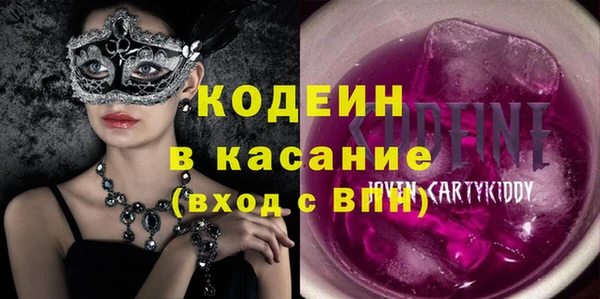 шишки Аркадак