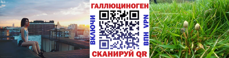 Псилоцибиновые грибы мицелий Ельня